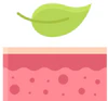 Eliminación de toxinas y confort digestivo icon