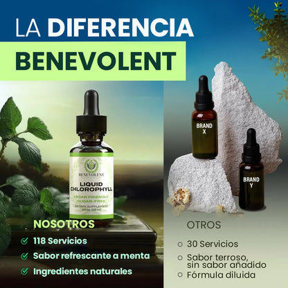 Gotas de Clorofila Kindness – Frescura Vegetal y Bienestar Digestivo
