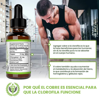 Gotas de Clorofila Kindness – Frescura Vegetal y Bienestar Digestivo