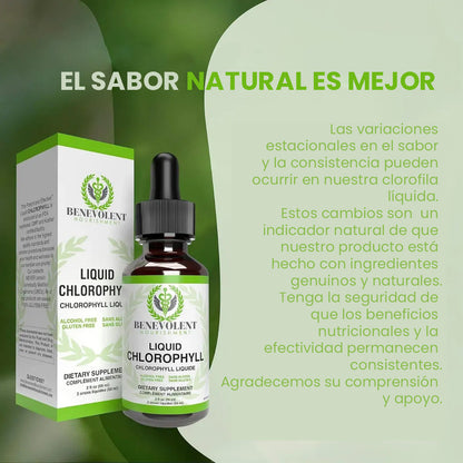 Gotas de Clorofila Kindness – Frescura Vegetal y Bienestar Digestivo