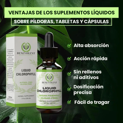 Gotas de Clorofila Kindness – Frescura Vegetal y Bienestar Digestivo