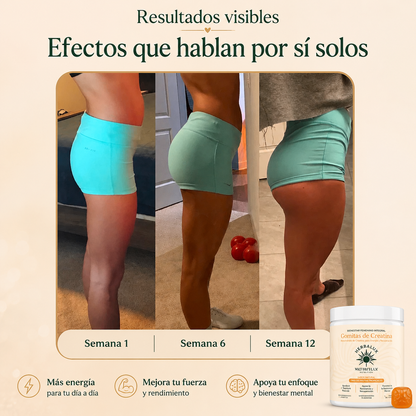 Creatina Gummies 5000mg — Fuerza, Recuperación y Definición Muscular | Herbalux®